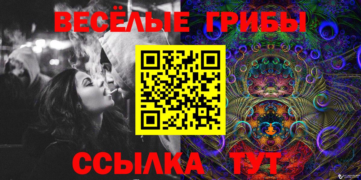 Псилоцибиновые грибы Cubensis  Галлюциногенные грибы Psilocybine cubensis  Славянск-на-Кубани  Вход с VPN 