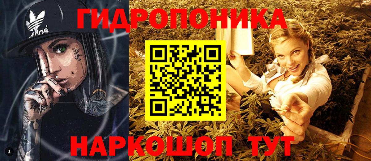 Шишки марихуана OG Kush  МАРИХУАНА Bruce Banner  Славянск-на-Кубани  Вход с VPN  МАРИХУАНА планчик 